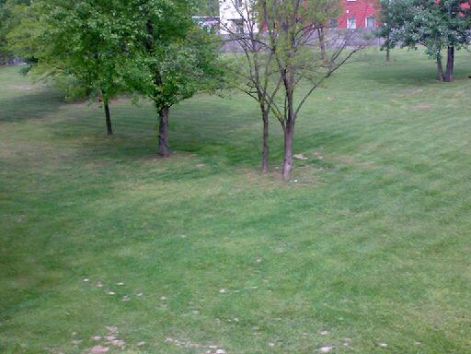 20110428.jpg